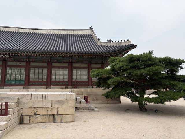 Photo in Seoul