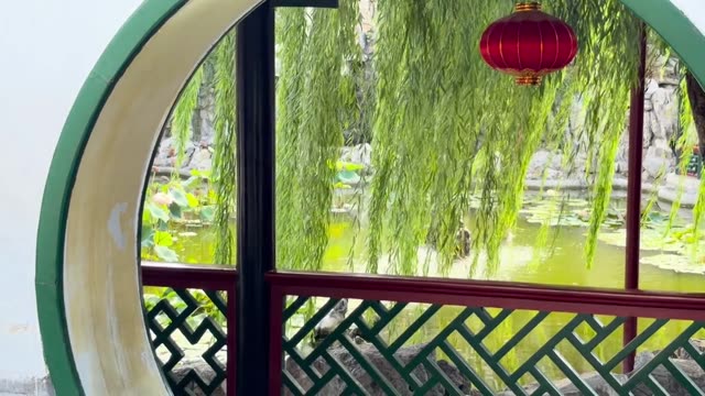 Video in Weifang