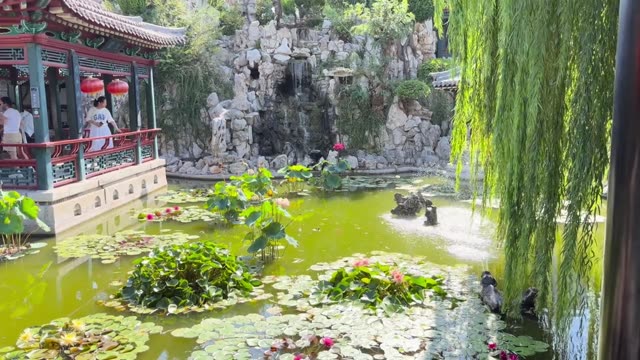 Video in Weifang