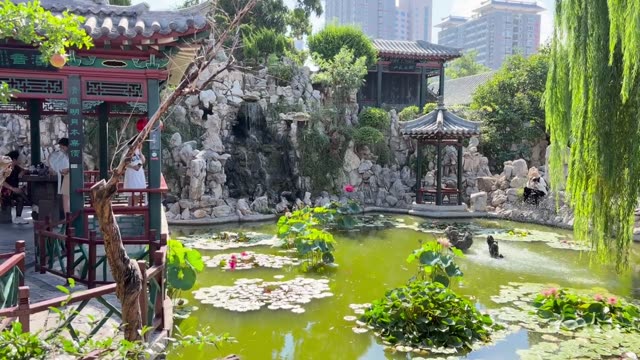 Video in Weifang