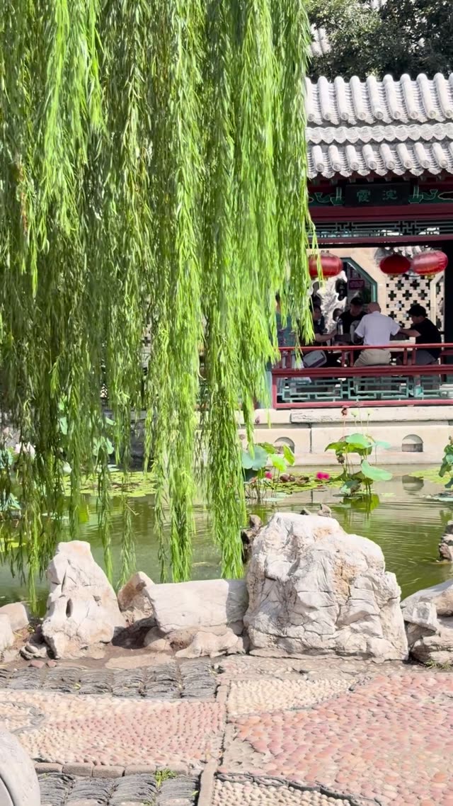 Video in Weifang