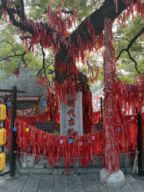 Photo in Weifang
