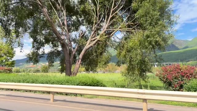 Video in Lijiang