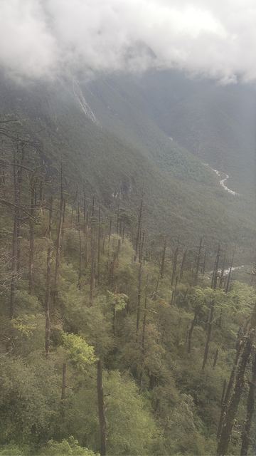 Photo in Yulong Snow Mountain